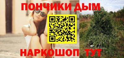 МДПВ Будённовск