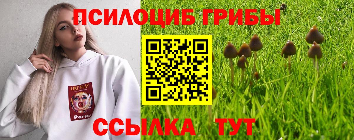 Псилоцибиновые грибы прущие грибы  Галлюциногенные грибы GOLDEN TEACHER  Камышин  Вход с VPN 