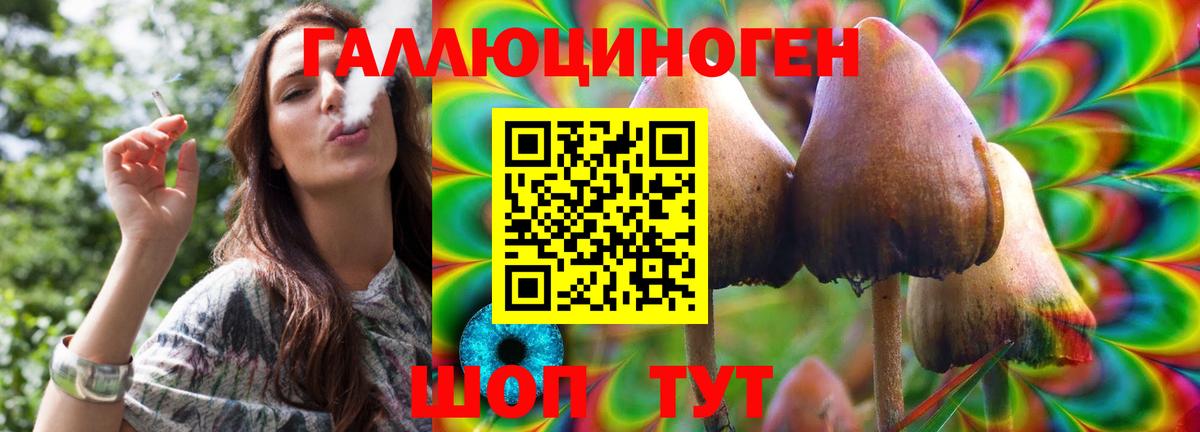 Псилоцибиновые грибы Cubensis Камышин